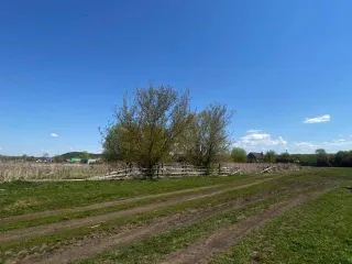 Земельный участок 1132 кв.м, Башкортостан, Шаранский район, уточненная площадь, погрешность 12.0 кв.м, назначение: земли населенных пунктов, вид разрешенного использования - для ведения личного подсобного хозяйства, кадастровый номер 02:53:140103:277, адрес: Россия, Респ Башкортостан, р-н…
