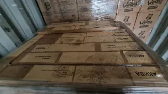 Напольные вешалки MOMC09220028, прямое назначение, 300 штук, номер ф-10/24/111 к-78 (78-009007-1). Имущество продается в том виде, в каком оно есть, и в случае продажи возврату/обмену не подлежит. За скрытые дефекты имущества продавец ответственности не несет.