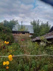 Дом 36 кв.м и участок 1500 кв.м, доли в д. Бекетово, Московская обл. 1/2 доля дома и 1/2 доля земельного участка в Московской обл. еще 1/2 доля дома и 1/2 доля земельного участка в Московской обл. еще 1/2 доля в праве на жилой дом. Кадастровый номер: 50:33:0000000:91352. Вид собственности: общая…