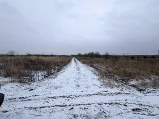 Земельный участок 600 кв.м в Московской области, городской округ Раменский, деревня Аргуново. Кадастровый номер: 50:23:0050573:1513. Площадь: 600 +/- 17 кв.м. Категория земель: сельскохозяйственного назначения. Вид разрешенного использования: для ведения садоводства.