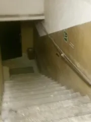 Объект аренды площадью 195,5 кв. м расположен по адресу: Российская Федерация, город Москва, вн.тер.г. муниципальный округ Рязанский, улица 1-я Новокузьминская, дом 15/5, помещение 1/1. Номера на поэтажном плане: этаж 1, пом. III, ком. 1-3, 3а, 3б, 3в, 3г, 3д, 3ж, 3з, 4, 6, 7, 31; подвал, пом. V…