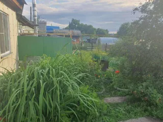 Дом 99,4 кв. м и земельный участок 421 кв. м в селе Верх-Тула, Новосибирская область, улица Учительская, дом 85. Кадастровый номер дома: 54:19:060103:3741, участка: 54:19:060103:3722.