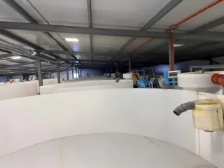 Строительство фермы по выращиванию форели по адресу д. Мещеряково Промпарк «Буинск» Буинского муниципального района, кадастровый номер 16:14:140102:762, общая площадь 1 432,0 кв.м. (в залоге АО «Татагролизинг»); Административное здание, кадастровый номер 16:14:140102:763, общая площадь 57,4 кв.м…