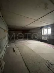 Нежилое помещение 3319 П (S67,09 кв.м.) 72,9 кв.м., расположенное в цокольном этаже дома № 14 по ул. Тенистая, кадастровый номер 55:20:220101:6863; номер государственной регистрации права собственности 55-55-24/097/2014-796/1 от 12.01.2015; регистрационная запись ограничения в виде ипотеки…