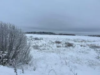 Земельный участок, кадастровый номер 69:09:0000029:204, площадь 83 572 кв.м. Местоположение установлено относительно ориентира, расположенного в границах участка. Почтовый адрес ориентира: обл. Тверская, р-н Зубцовский, с/пос Погорельское, с восточной стороны д. Новое, в границах колхоза "Успех"…