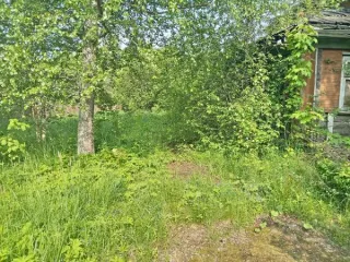 Земельный участок категория земель: земли населенных пунктов, разрешенное использование: для индивидуального жилищного строительства, площадью 1700 кв.м. Нежилое здание, площадью 66,0 кв.м., количество этажей: 1. Кадастровый номер нежилого здания: 47:10:1129002:235. Состояние объекта…