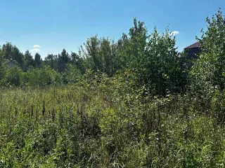 Земельный участок, назначение: для садоводства, кадастровый номер: 50:33:0030410:51, местоположение: местоположение установлено относительно ориентира, расположенного в границах участка. Адрес: обл. Московская, р н Ступинский, с/п Леонтьевское, в р не д. Волково, СНТ «Богатырь», уч. 15.