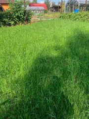 Земельный участок 764 кв.м., ХМАО-Югра. Категория земель: земли сельскохозяйственного назначения, разрешенное использование: под садоводство. Находится по адресу: Ханты-Мансийский автономный округ - Югра, р-н Нефтеюганский, урочище «Сингапайский остров», район КНС-7, СНТ «Энергетик», участок № 56…