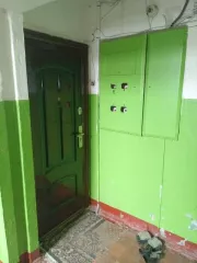 1/4 доля в праве собственности на квартиру, общей площадью 63,9 кв.м., расположенная по адресу: Рязанская область, г. Сасово, ул. Ново-Елатомская, д.45б, кв.6