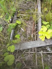 объект незавершенного строительства с кадастровым номером 11:08:0801003:1500, степень готовности 15%, площадь застройки – 111 кв.м., расположенный по адресу: Республика Коми, р-н. Усть-Вымский, с. Айкино, ул. Центральная, д.159 объект незавершенного строительства с кадастровым номером…