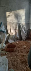 Нежилое здание с кадастровым номером 61:06:0060209:131 площадью 375,2 кв. м., расположенное по адресу: Ростовская область, Веселовский р-н, х. Красное Знамя, пер. Школьный, 7 иземельный участок с кадастровым номером 61:06:0060209:12 площадью 5600 кв. м., расположенный по адресу: Ростовская область…