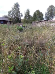 Земельный участок, площадь: 2 184 кв.м., категория земель: Земли населенных пунктов, разрешенное использование: Для ведения личного подсобного хозяйства, кадастровый номер: 59:39:0080001:1, Адрес  местоположение : Пермский край, р н Чердынский, д. Карпичева, ул. Северная, д. 8