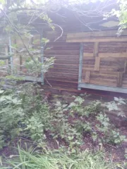 Нежилое помещение, общей площадью 141,6, с кадастровым номером 22:15:052101:472, по адресу: Алтайский край, Зональный район, п. Урожайный, ул. Молодежная, 7/4а нежилое помещение, площадью 141,6 кв. м, с кадастровым номером 22:15:052101:472, по адресу: Российская Федерация, Алтайский край…
