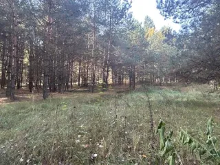 Земельный участок 1500 кв.м 50:33:0010514:526 Московская область площадь земельного участка: 1500 кадастровый номер земельного участка: 50:33:0010514:526 основной вид разрешенного использования: 2.1