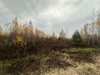 Земельный участок 1999 кв.м, Московская область. Кадастровый номер 50:35:0040103:1920. Вид разрешённого использования 2.1.