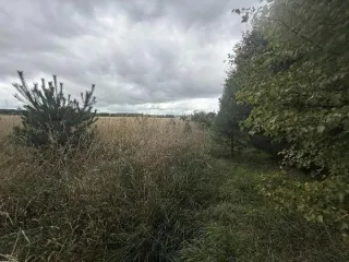 Земельный участок КН 50:27:0030721:587 1500 кв.м Площадь земельного участка: 1500 Кадастровый номер земельного участка: 50:27:0030721:587 Основной вид разрешенного использования: 2.1