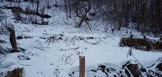 Доля в жилом помещении 29,2 кв.м., Брянская область: 1/20 доли в праве на жилое помещение общей площадью 29,2 кв.м., кадастровый номер 32:02:0150101:1228; 15/20 доли в праве на жилое помещение общей площадью 29,2 кв.м., кадастровый номер 32:02:0150101:1228, расположенное по адресу: Брянская…