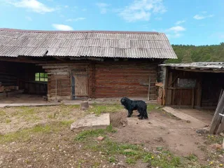 Доля здания 76.8 кв.м и участка 3703 кв.м Амурская область 1/5 доля здания, площадь 76.8 кв.м., назначение: жилое, количество этажей: 1, адрес (местонахождение): Россия, Амурская область, р-н Магдагачинский, с Черняево, ул Подгорная, д 20, кадастровый (условный) номер: 28:16:013901:1259. 1/5 доля…