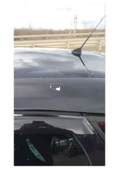 Ford Focus 2011 года, 104 л.с., пробег 300 000 км, автоматическая коробка передач. VIN: X9FKXXEEBKBT10138. Государственный номер Р800УЕ193.