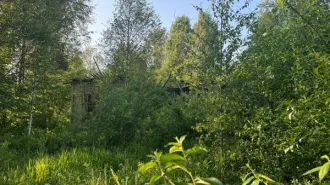 Здание и земельный участок по адресу: Санкт-Петербург, посёлок Песочный, Железнодорожная улица, дом 14, литера А. Здание площадью 240 кв.м, назначение: нежилое, наименование: база отдыха, этажность: 1, год ввода в эксплуатацию 1904, кадастровый номер 78:38:0021345:3016. Земельный участок площадью…