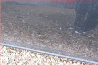 Lexus GS300 2006 года, VIN: JTHBH96SX05041803, госномер: Х014ЕО774.