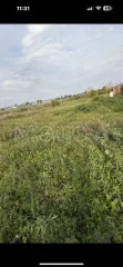 Земельный участок площадью 1019 кв.м, кадастровый номер 02:05:240102:294, адрес: Россия, Республика Башкортостан, д. Наумкино, Ударная, дом 19б, вид собственности: индивидуальная.