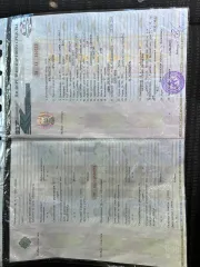 Opel Astra 2011 года выпуска, номер кузова и VIN: W0LPD6DC2BG137542, шасси отсутствует.