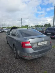 Skoda Octavia 2017 Skoda Octavia, 2017 года, 150 лс, 182468 км, АКПП еще Skoda Octavia, 2017 года, 150 лс, 182468 км, АКПП еще Легковой автомобиль, год выпуска 2017 , модель SKODA OCTAVIA, VIN XW8AC4NE7JH008529.