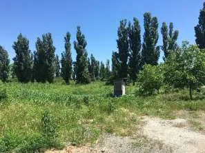 Право аренды земельного участка площадью 70 000 кв.м., категория земель: земли населенных пунктов, вид разрешенного использования: овощеводство, кадастровый номер 23:15:0602000:323, расположенный по адресу: Краснодарский край, Крымский район, в границах ТОО «Горизонт», секция 9, часть контура 8…