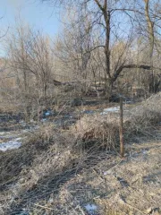 Земельный участок 3300 кв.м в Приморском крае, Ханкайский район, село Новокачалинск, улица Калинина, 6. Кадастровый номер: 25:19:010401:1226.