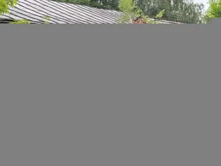 Нежилое здание 280,6 кв.м. с участком 1 269 кв.м., Нижегородская обл., Богородский р-н, д. Солонское нежилое здание общей площадью 280,6 кв.м., кадастровый номер 52:24:0080501:296 с земельным участком площадью 1 269 кв.м., кадастровый номер 52:24:0080501:217 (земли населенных пунктов, виды…
