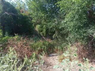 1/3 доля в праве на жилое здание площадью 38,5 кв.м, кадастровый номер 64:38:220105:49 (ветхое) и 1/3 доля в праве на земельный участок площадью 661 кв.м, категория земель: земли населенных пунктов, разрешенное использование: для ведения личного подсобного хозяйства, кадастровый номер…
