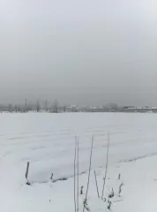 Земельный участок, 75697 кв.м, Краснодарский край, Белореченский район Земельный участок, площадью 75697 кв.м, Краснодарский край, Белореченский район - Земельный участок, площадь: 75 697 +/- 96,3 кв.м., категория земель: земли населенных пунктов, ВРИ: для размещения и эксплуатации производственных…