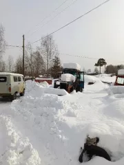 Трактор МТЗ -80л.с., цвет синий, техническое состояние- удовлетворительное, только под разборку. Трактор МТЗ-80 л.с., цвет синий, техническое состояние- удовлетворительное, только под разборку. 
