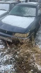 Автомобиль Тойота Королла г/н Н872НЕ72, г/в не установлен, данное имущество обращено в доход государства. Находится в г. Назарово(Документы и ключи отсутствуют Автомобиль Тойота Королла г/н Н872НЕ72, г/в не установлен, данное имущество обращено в доход государства. Находится в г. Назарово(Документы…