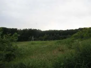 Земельный участок и нежилые помещения 233,2 кв.м Приморский край Земельный участок кадастровый номер 25:13:030209:1328 площадью 19822 кв.м категория земель: Земли населенных пунктов виды разрешенного использования: склады адрес местоположению: местоположение установлено относительно ориентира…