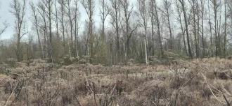 Земельный участок 800 кв.м., Тула, д. Янчерево Земельный участок площадью 800 кв.м., с кадастровым номером 71:14:040601:3393 <p>Земельный участок площадью 800 кв.м., с кадастровым номером 71:14:040601:3393, расположенный по адресу: Тульская область, городской округ город Тула, деревня Янчерево</p>