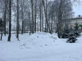 Земельный участок 1664 кв.м Санкт-Петербург Земельный участок для индивидуального жилищного строительства, площадью 1664 кв. м., кадастровый номер 78:38:0022512:7, расположенный по адресу: Санкт-Петербург, г. Зеленогорск, ул. Вокзальная, д. 1, лит. А