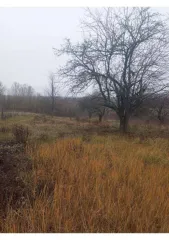 Земельный участок площадью 600 кв.м, расположенный по адресу: Курская область, Курский район, Полевской сельсовет, ул. Набережная, д. 143. Кадастровый номер: 46:11:150206:648. В Едином государственном реестре недвижимости отсутствуют сведения о местоположении границ земельного участка. Регистрация…