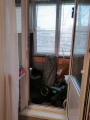 Жилое помещение, 34 кв.м, Санкт-Петербург, кадастровый номер 78:13:0007446:1624