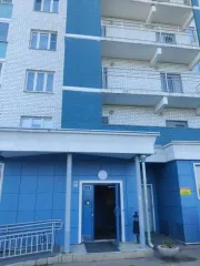 Квартира, 30,9 кв.м, 1 комн., Московская область, состоящая из 1 (Одной) комнаты общей площадью 30,9 кв.м., расположенная на 14 этаже 25 этажного дома по адресу: Московская область, г. Королев, мкр. Текстильщик, ул. Тарасовская, д. 25, кв. 88, кадастровый номер: 50:45:0030105:1256.