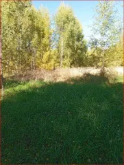 Земельный участок, площадь: 1 500кв.м., адрес (местонахождение): Российская Федерация, Республика Марий Эл, г.о. город Козьмодемьянск, г. Козьмодемьянск, мкр. Черемушки, з/у 349, категория земель: Земли населенных пунктов, разрешенное использование: Для ведения личного подсобного хозяйства…