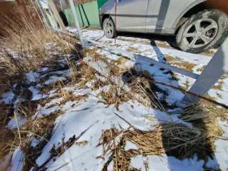 Земельный участок 584 кв.м с объектами, Московская обл. Кадастровый номер 50:27:0030715:218, место нахождения: Россия, обл. Московская, р-н Подольский, Сельское поселение Лаговское, СНТ "Связист", вблизи д. Романцево, дом уч-к 385, площадью 584 +/- 8, с объектами недвижимости: помещение, назначение…