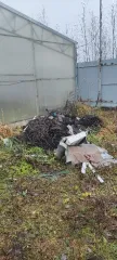 Земельный участок площадью 11435 кв.м, земли сельскохозяйственного назначения, для ведения крестьянского (фермерского) хозяйства. Ленинградская область, Всеволожский район, Рахьинское городское поселение, кадастровый номер 47:07:0953003:486. На участке расположено имущество: теплица (металлический…
