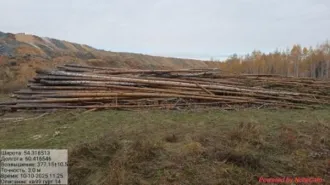 Древесина: 1959 куб.м, сосна 1684 куб.м, береза 275 куб.м, Чебаркульский лес Количество и породный состав древесины: Общий объем 1 959,00 куб.м, в том числе: береза 275,00 куб.м (деловая 40,00 куб.м., дровяная 235,00 куб.м.); сосна 1 684,00 куб.м (дровяная 635,00 куб.м., дровяная 1 049,00 куб.м.)…