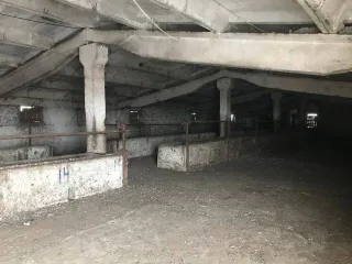 Здания коровников и земельный участок 60 468 кв.м, Волгоградская обл. Здания и земельный участок 60468 кв.м в Волгоградской обл. еще 1. Здание коровника 34:20:070003:276 2. Здание коровника 34:20:070005:1621 3. Земельный участок 34:20:070005:111 Принадлежит на право общей совместной собственности.