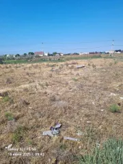 Земельный участок под эксплуатацию сада площадью 1100 кв.м. по адресу: Россия, Астраханская область, г. Астрахань, р-н Ленинский, с/т "Восток", расположенное на р. Прямая Болда, уч-к 343, кадастровый номер: 30:12:022034:90