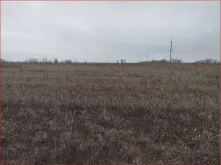 Земельный участок площадью 127 000 кв.м в Волгоградской области, Серафимовичский район, на территории администрации Теркинского сельского поселения, на поле № 30, участок № 2. Кадастровый номер: 34:27:090013:1790. Категория земель: земли сельскохозяйственного назначения. Вид разрешенного…