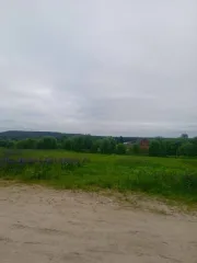 Земельный участок 1500 кв. м, доля 1/8. Архангельская область, Устьянский муниципальный район, МО «Шангальское», д. Юрятинская. Кадастровый номер: 29:18:110501:632. Категория земель: земли населенных пунктов. Вид разрешенного использования: для индивидуального жилищного строительства. Участок…