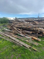 Древесина в виде хлыстов деревьев породы ель, пихта, береза, осина, общим объемом 14,266 куб.м: ель 35 шт. объемом 12,353 куб.м; пихта 5 шт. объемом 0,993 куб.м; береза 6 шт. объемом 0,562 куб.м; осина 4 шт. объемом 0,358 куб.м. Имущество является вещественными доказательствами, хранение которых до…